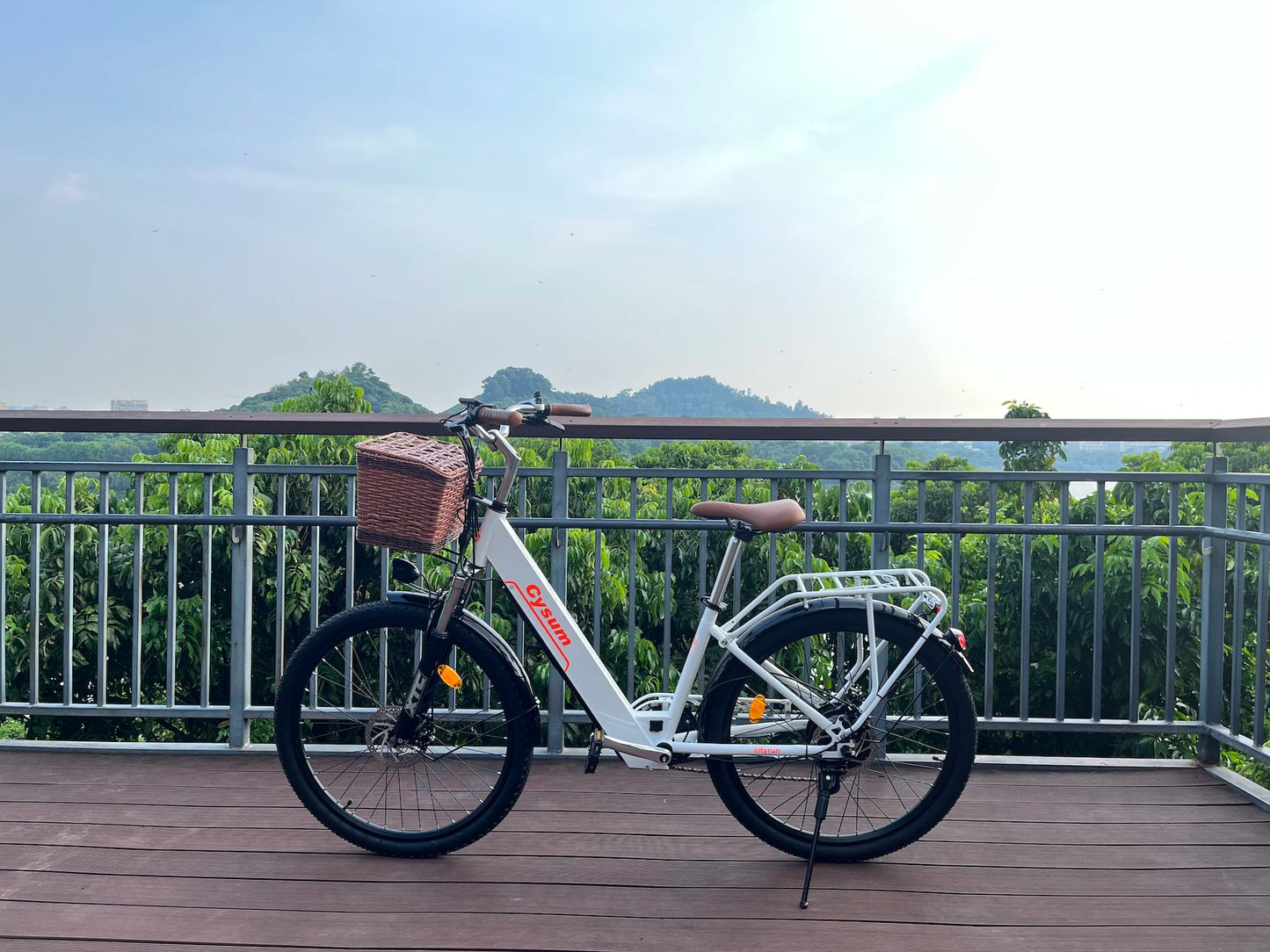Vélo Électrique – 250W, Batterie 48V, Autonomie 80km, 26", Freins à Disque
