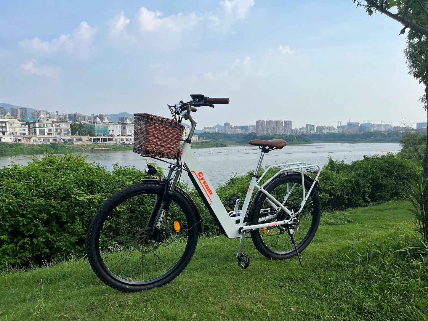 Vélo Électrique – 250W, Batterie 48V, Autonomie 80km, 26", Freins à Disque