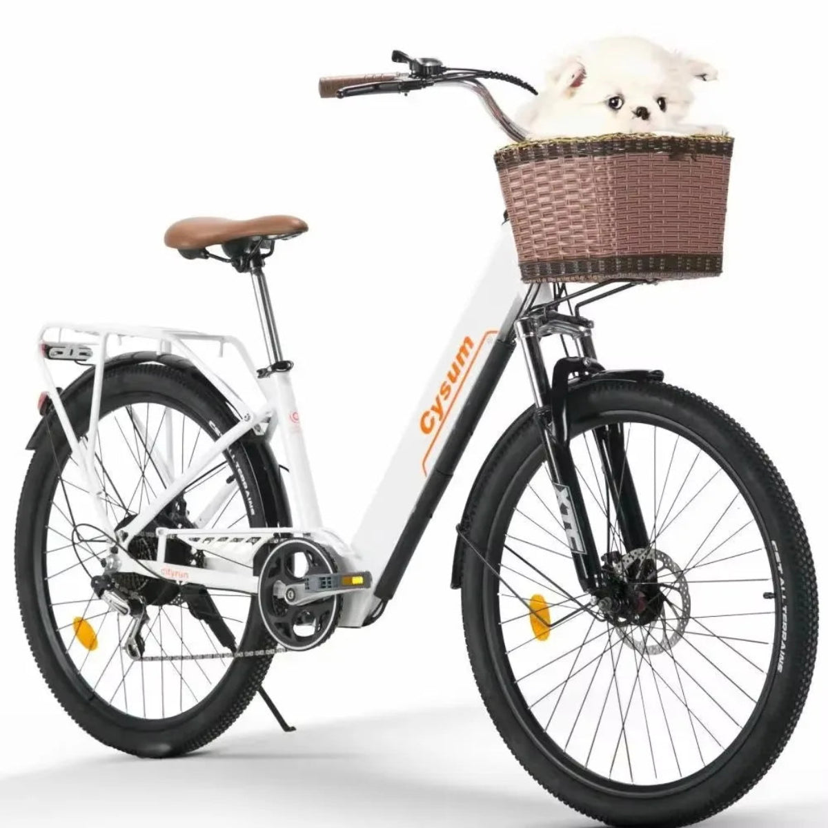 Vélo Électrique – 250W, Batterie 48V, Autonomie 80km, 26", Freins à Disque