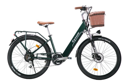 Vélo Électrique – 250W, Batterie 48V, Autonomie 80km, 26", Freins à Disque